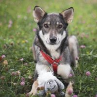 Яся, 2.5 года. Москва.